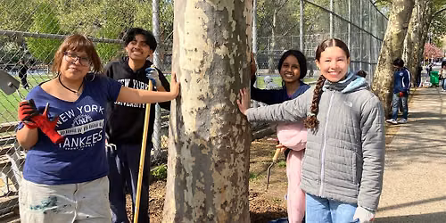 Street Tree Care in Sunset Park