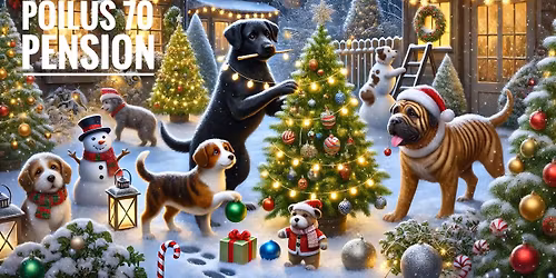 Les Poilus d\u00e9corent la pension 6\/12\/25 13h-15h45