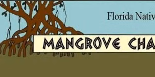 Mangrove Chapter Guided Walk - Sleeping Turtles Preserve South 