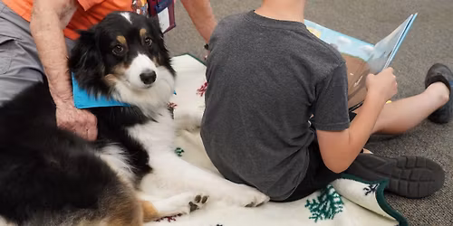 Paws to Read: K9 Reading Buddies