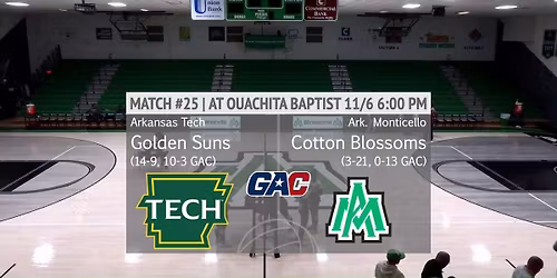 Arkansas Tech Golden Suns Women's Basketball vs. Harding Bisons