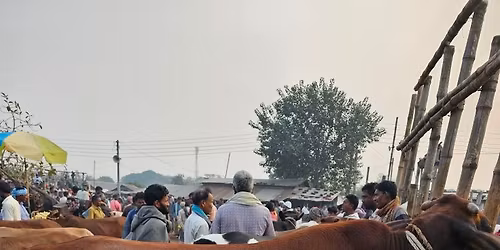 Happy New Year 2025 Picnic