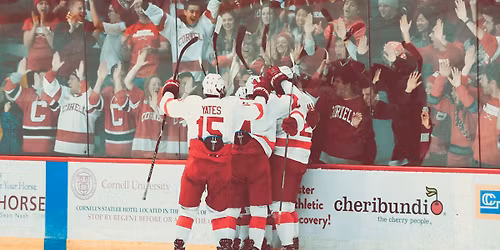 Princeton Tigers at Cornell Big Red Mens Hockey at Lynah Rink