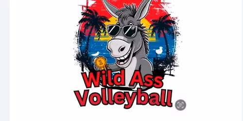 Wild Ass VB Tournament 2025