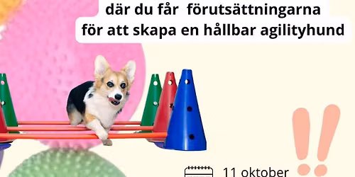 Inspirationsdag med inriktning agility
