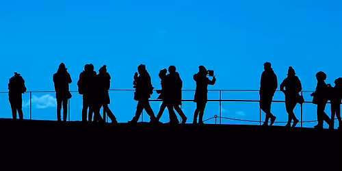 La Jolla Active Walkers: Brisk Morning Ocean Walk to Ignite Your Day