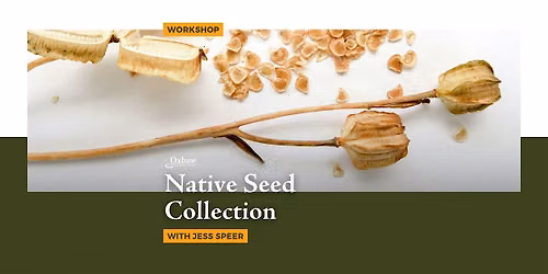 Native Seed Collection