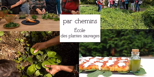 Journ\u00e9e immersive "Techniques de fermentation et de conservation appliqu\u00e9es aux plantes sauvages"