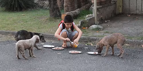 First Meeting of the Little Heroes!