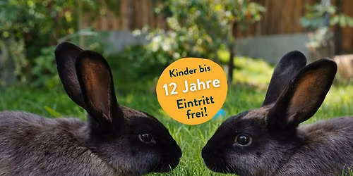 Osterfeiertage im Zoo