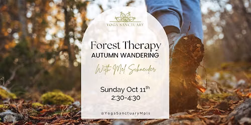 Forest Therapy: Autumn Wandering