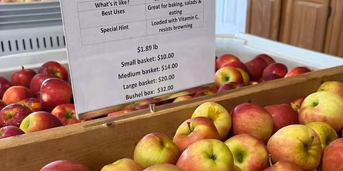 Apple Harvest Festival