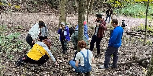 Mushroom Identification Class
