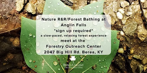 Nature R&R\/Forest Bathing