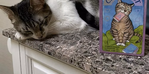 Halloween Tarot with the Purrmaid Kitties