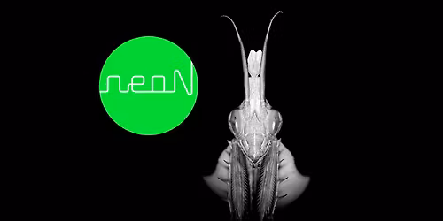 neoNsessions #5