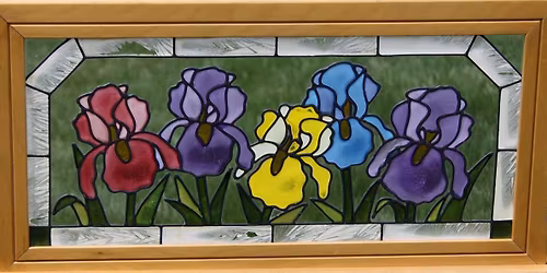 Annual Iris Show