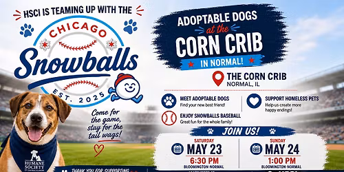 Chicago Snowballs x HSCI: Adoptable Dogs at the Corn Crib