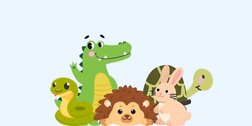 Animal Adventures - For kids & Adults \ud83e\udd89\ud83d\udc0d