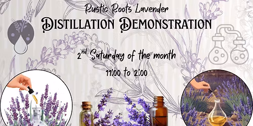 Lavender Distillation Demonstration 