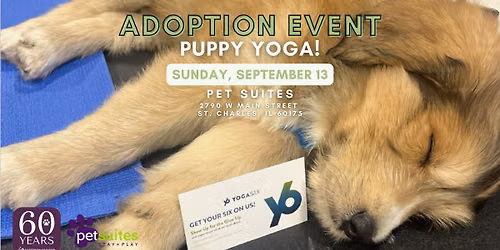 Puppy Yoga