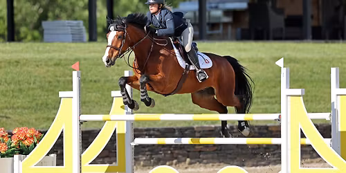 Jumper Horse Show with Hunter and Flat Classes added! 