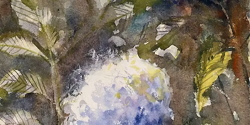 Learn to Paint in Watercolour