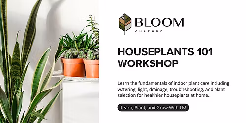 Houseplants 101 Workshop | Bloom Culture Calgary