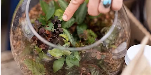 Terrarium Building Workshop