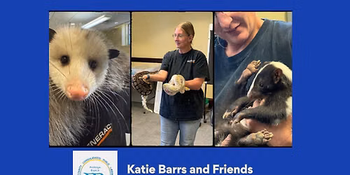 Peshtigo Library: Dragon's Den with Katie Barrs and Friends