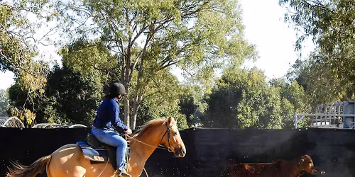 July 18th and 19th \u2013 Ranch Sorting, Boxing ,Ranch Cutting and Flag Comp