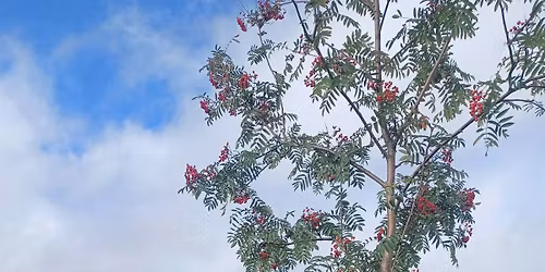 Hedge Laying 2026 *Fully Booked*