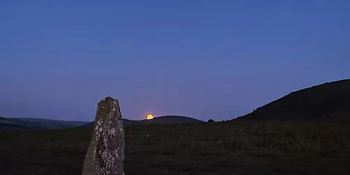 Worcestershire wildflowers and witchcraft guided walk