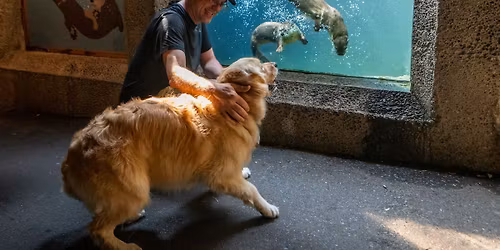 Dog Days at Northwest Trek