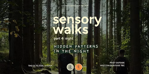 sensory walks: Hidden Patterns in the Night