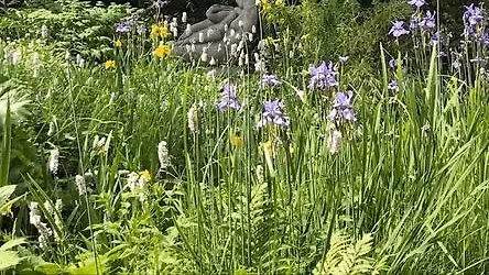 Rundvisning i G.N. Brandt's gemte have