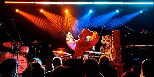 Paddy Steer - Saturday 7th March 2026 | Sunbird Records, Darwen