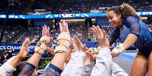 Missouri Tigers vs. Auburn Tigers