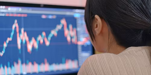 Tunneys Professional Training - Advanced Financial Modelling + VBA