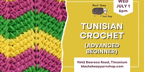 Tunisian Crochet Class (Advanced Beginner)