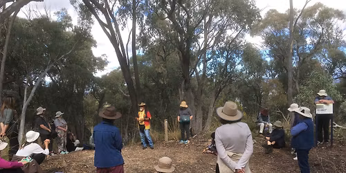 Heritage Walk - Choose your time