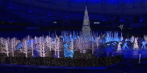 World's Largest Christmas Light Maze & Market