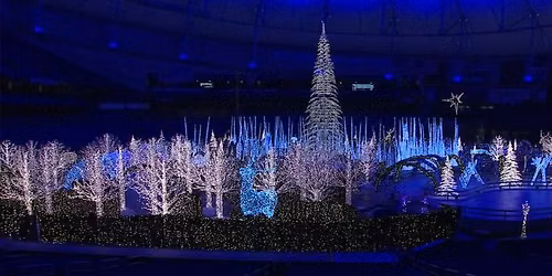 World's Largest Christmas Light Maze & Market