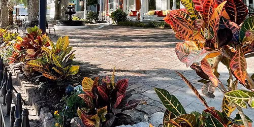 Early Bird Clean Up Duval & Eaton Streets hosted by Key West Woman's Club