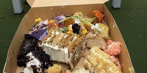 \u2600\ufe0f THE BIG SUNNY CAKE BASH \u2600\ufe0f