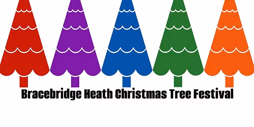 Bracebridge Heath Christmas Tree Festival 