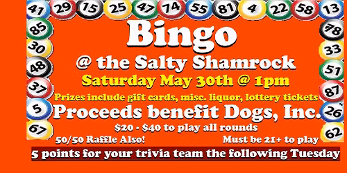 Saturday Afternoon Bingo @ the Salty Shamrock for Dogs Inc