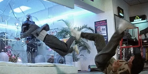Lights, Camera, ACTION: Police Story
