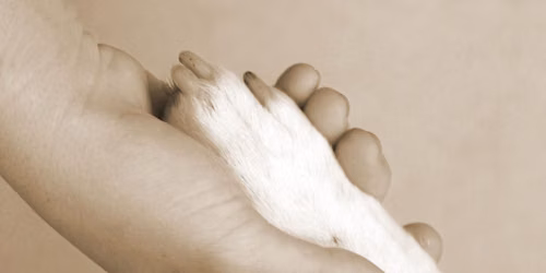 Pet Loss Support Group