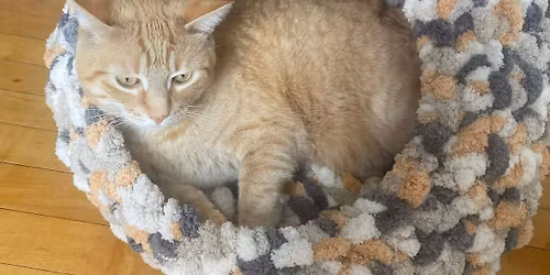 Hand knitted Chunky wool, cat cave- 12 inch opening